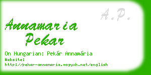 annamaria pekar business card