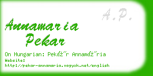 annamaria pekar business card